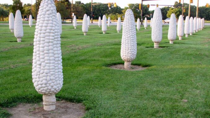 Field of concrete corn statues